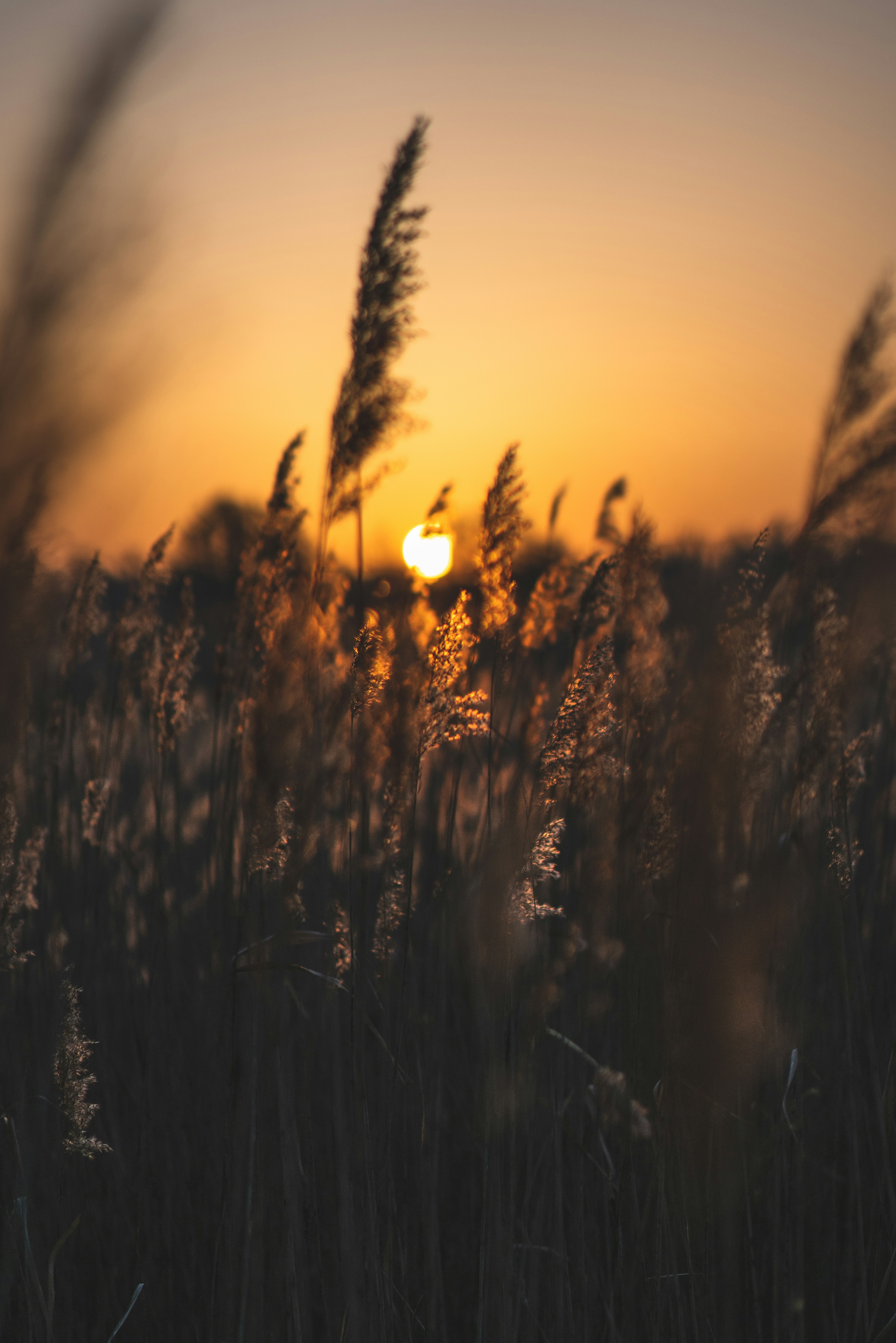 Photo by mirkosphoto