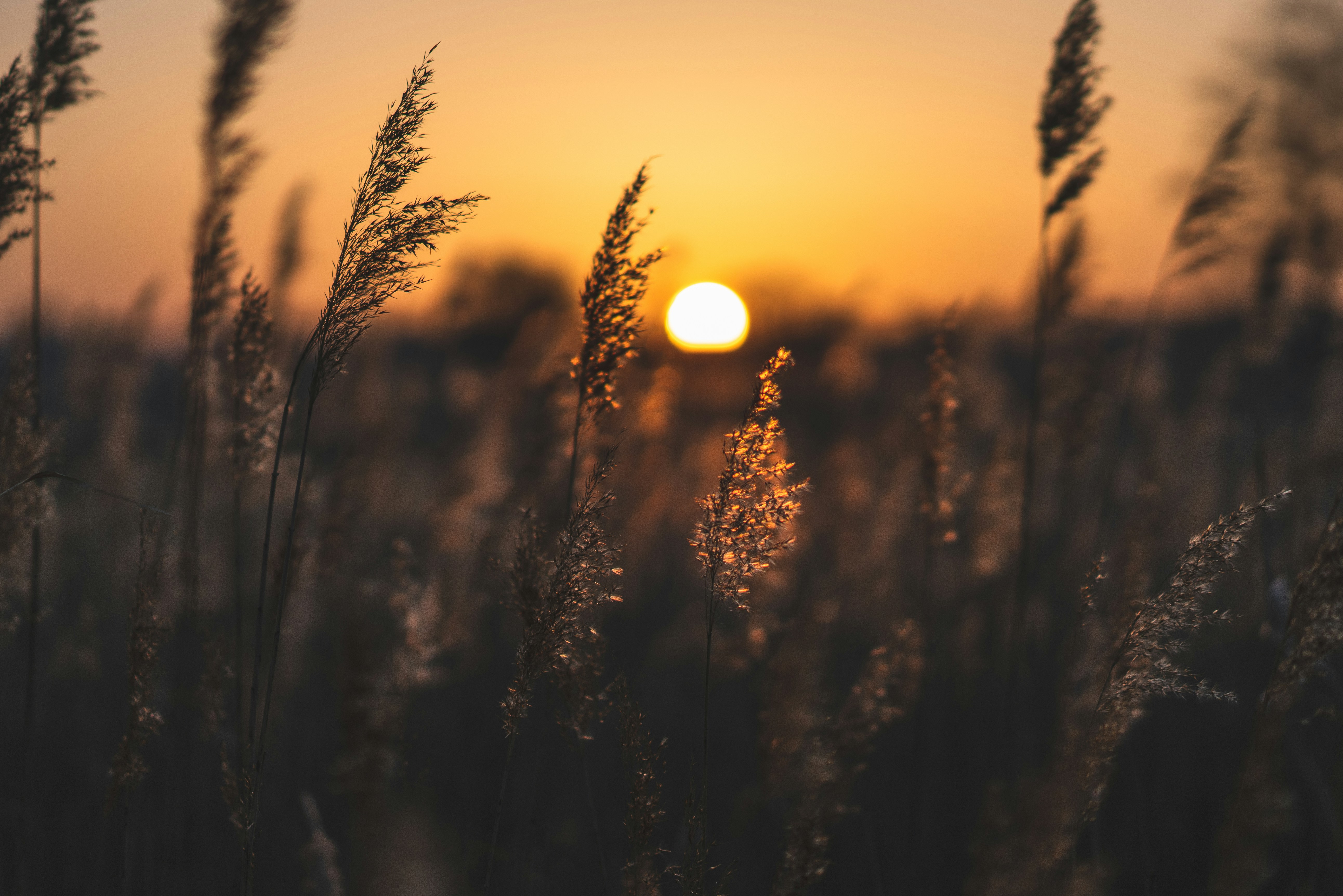 Photo by mirkosphoto