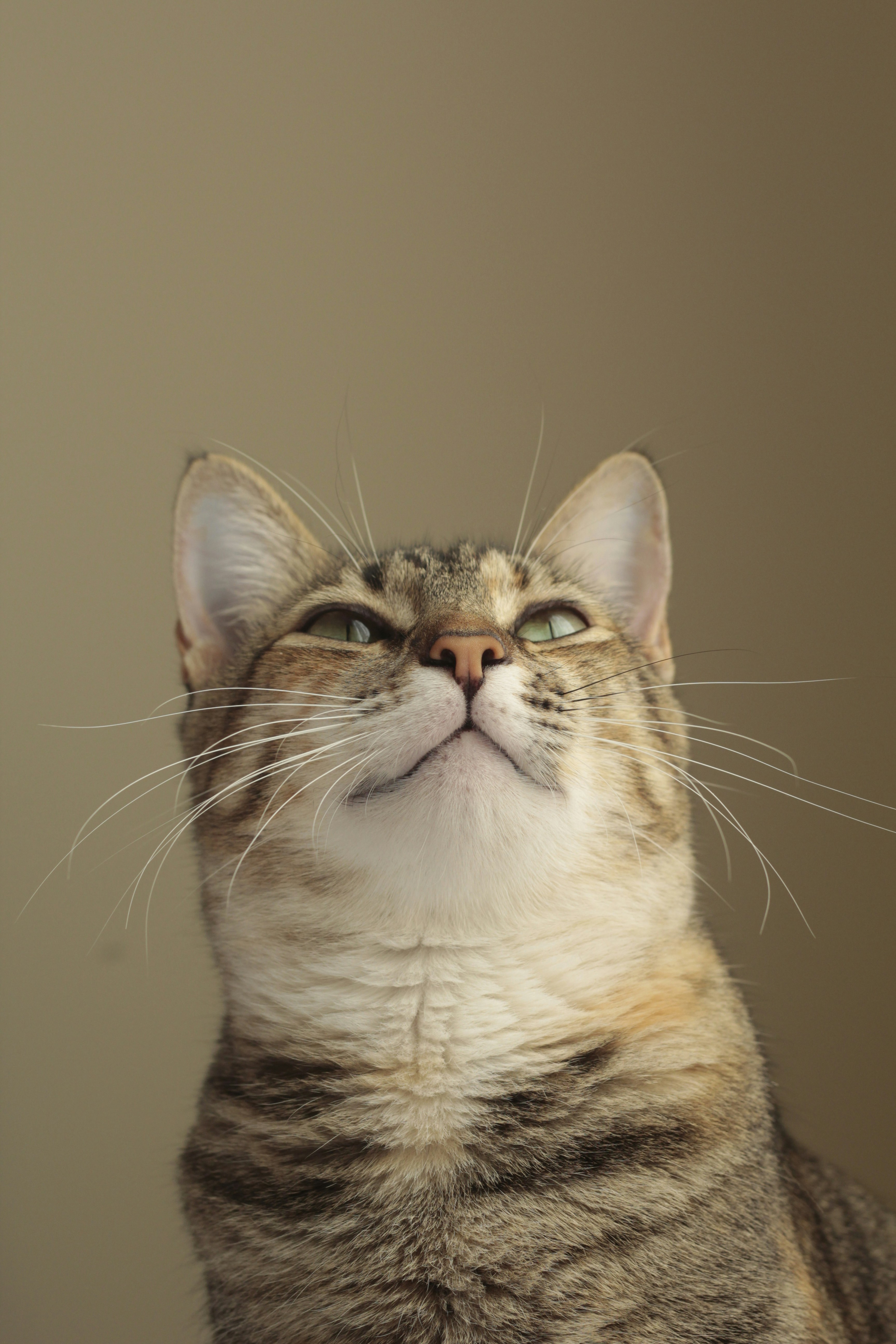 Photo by giisilveira