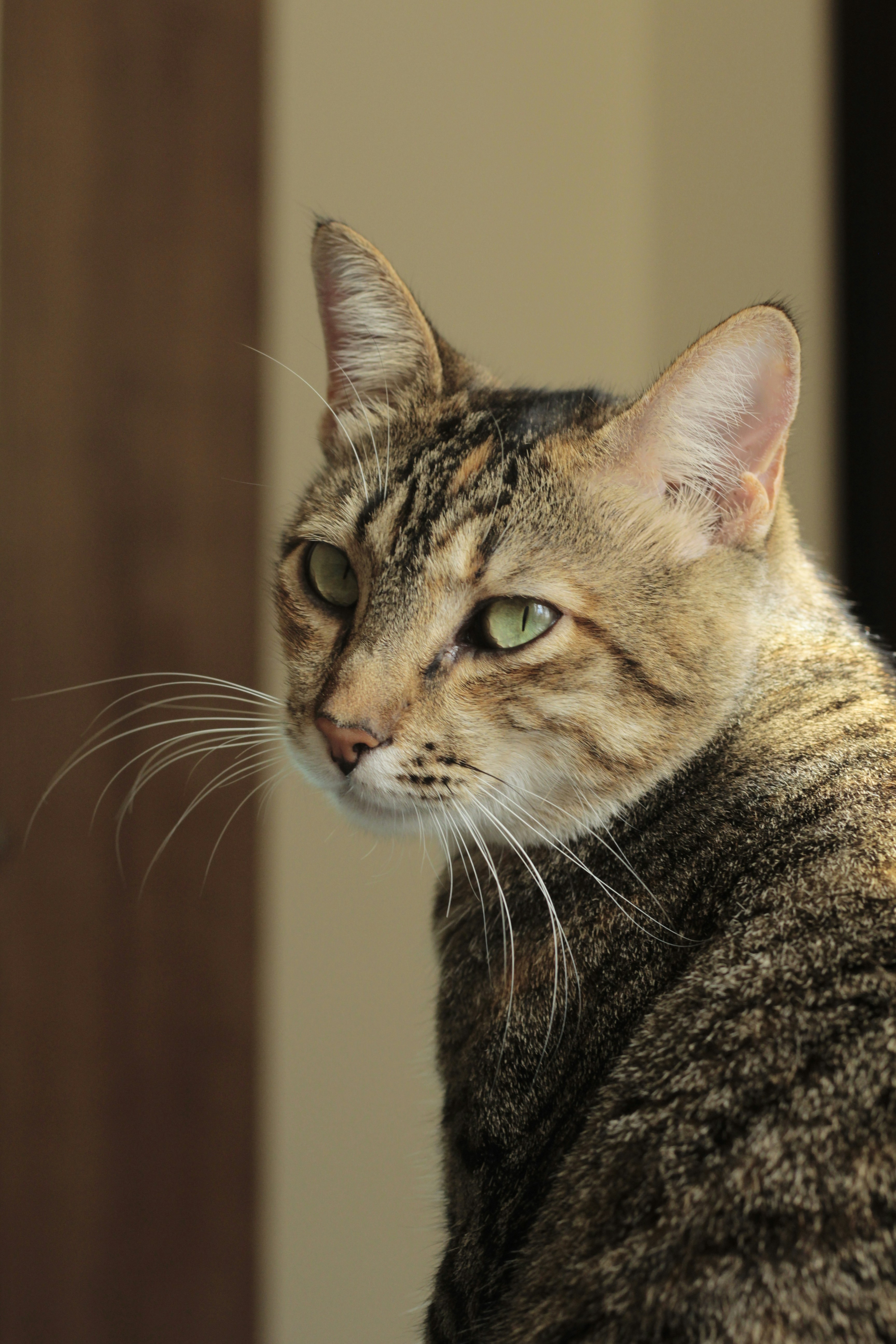 Photo by giisilveira