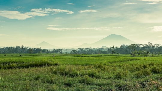 green grass field near mountain under white clouds during daytime in Abiansemal Indonesia