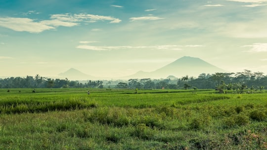 Abiansemal things to do in Kabupaten Badung