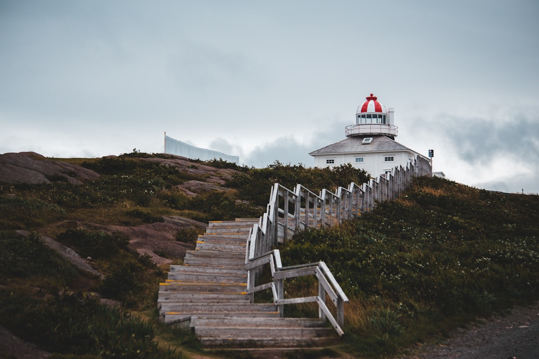 white wooden stairs on green grass field