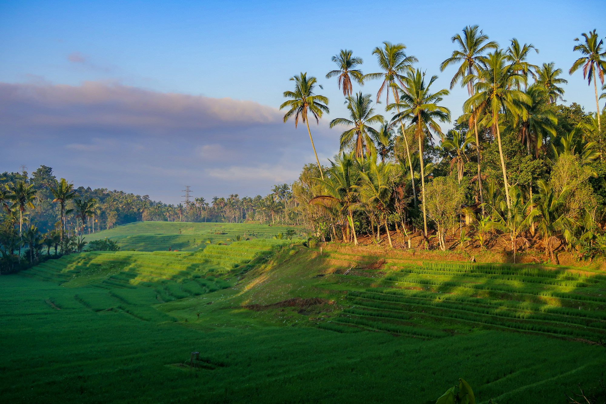 Tabanan Weather and Best Months to Visit