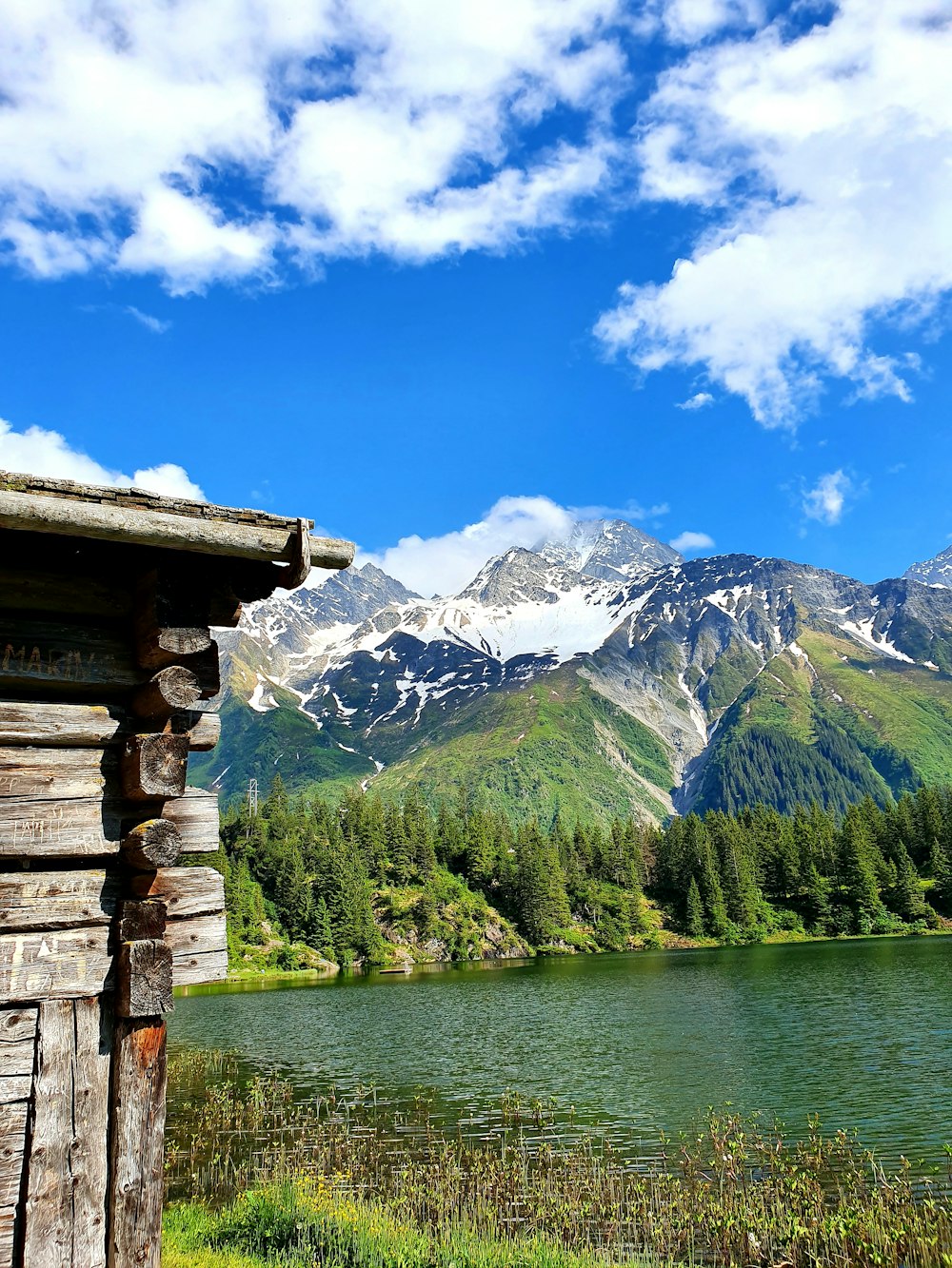 green trees near body of water and mountain under blue sky during daytime