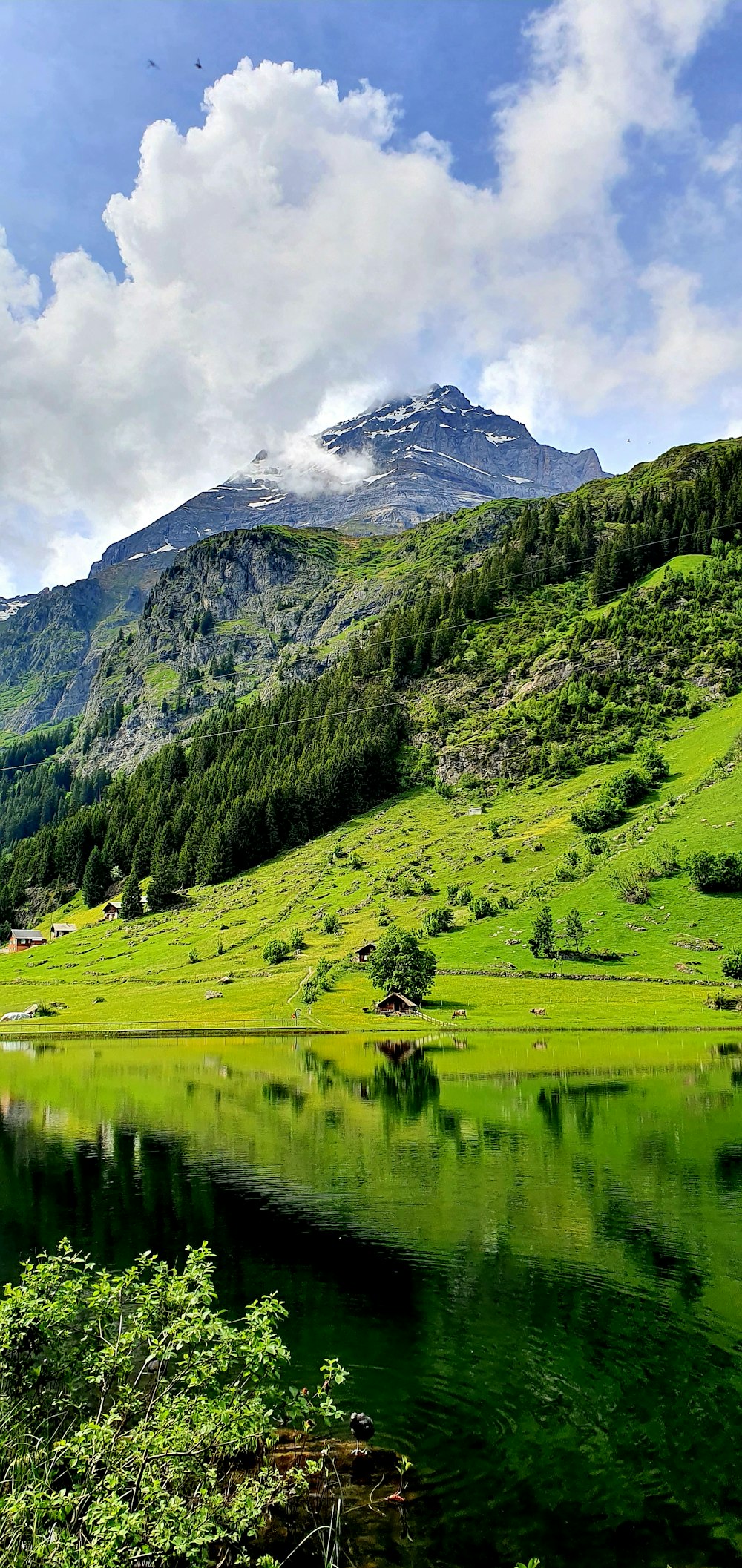 Grünes Grasfeld in der Nähe von See und Berg