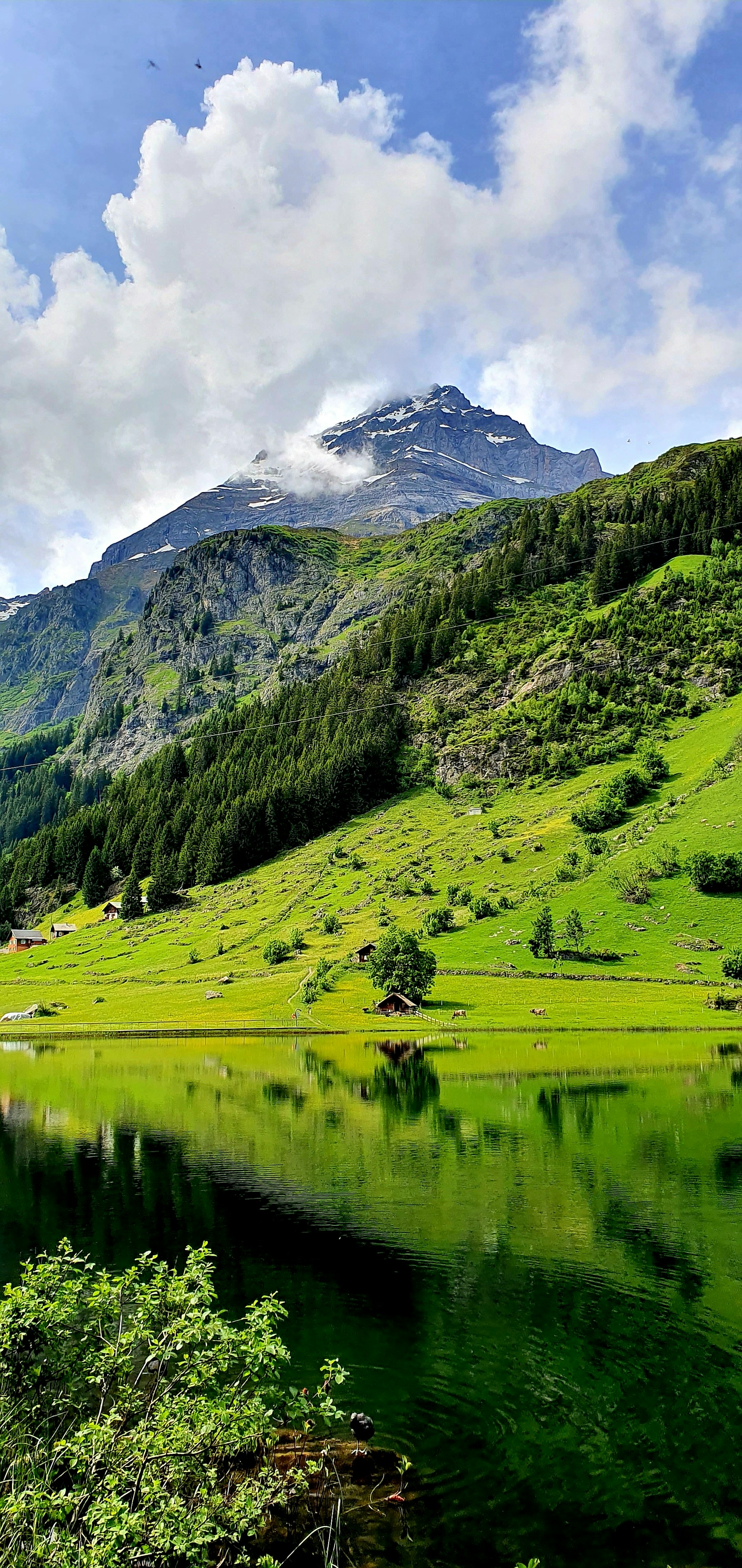Green mountain lake