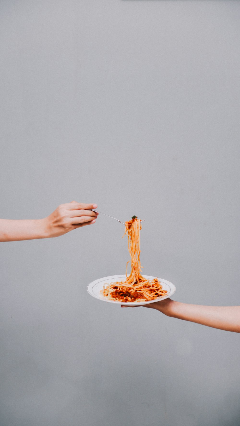 person holding white ceramic plate with food