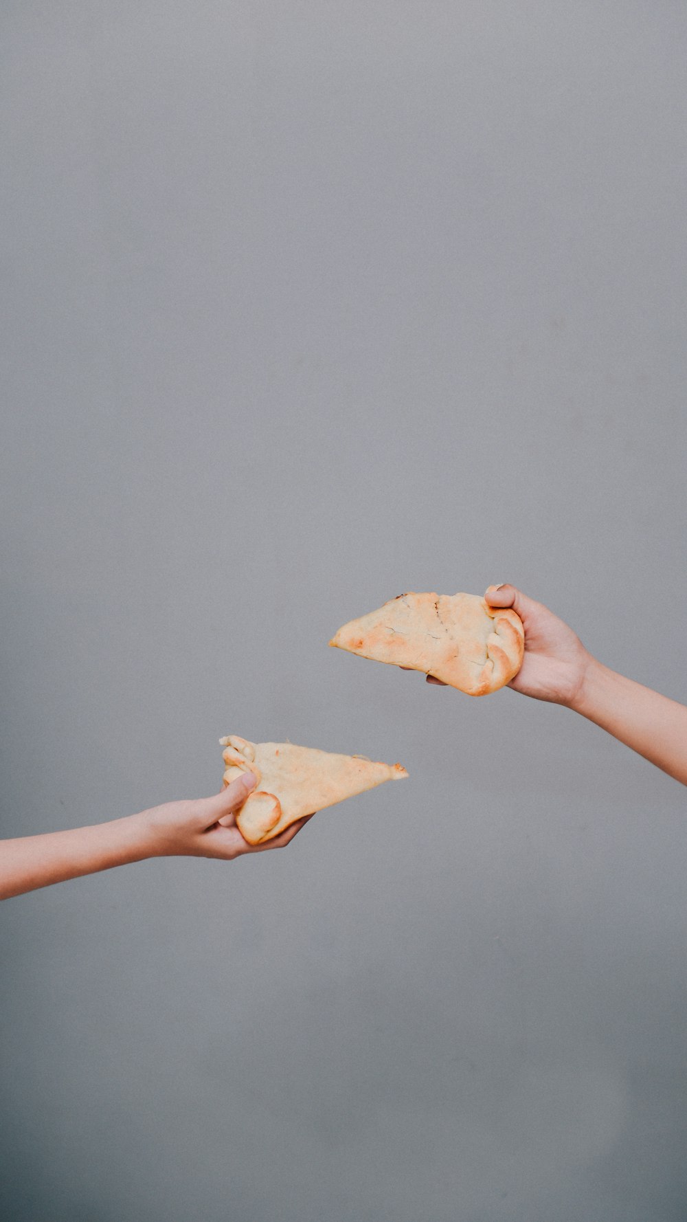 person holding brown bread with white background