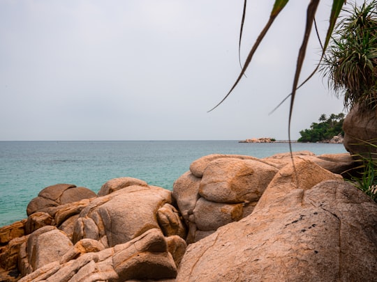 brown rock formation near body of water during daytime in Bintan Indonesia