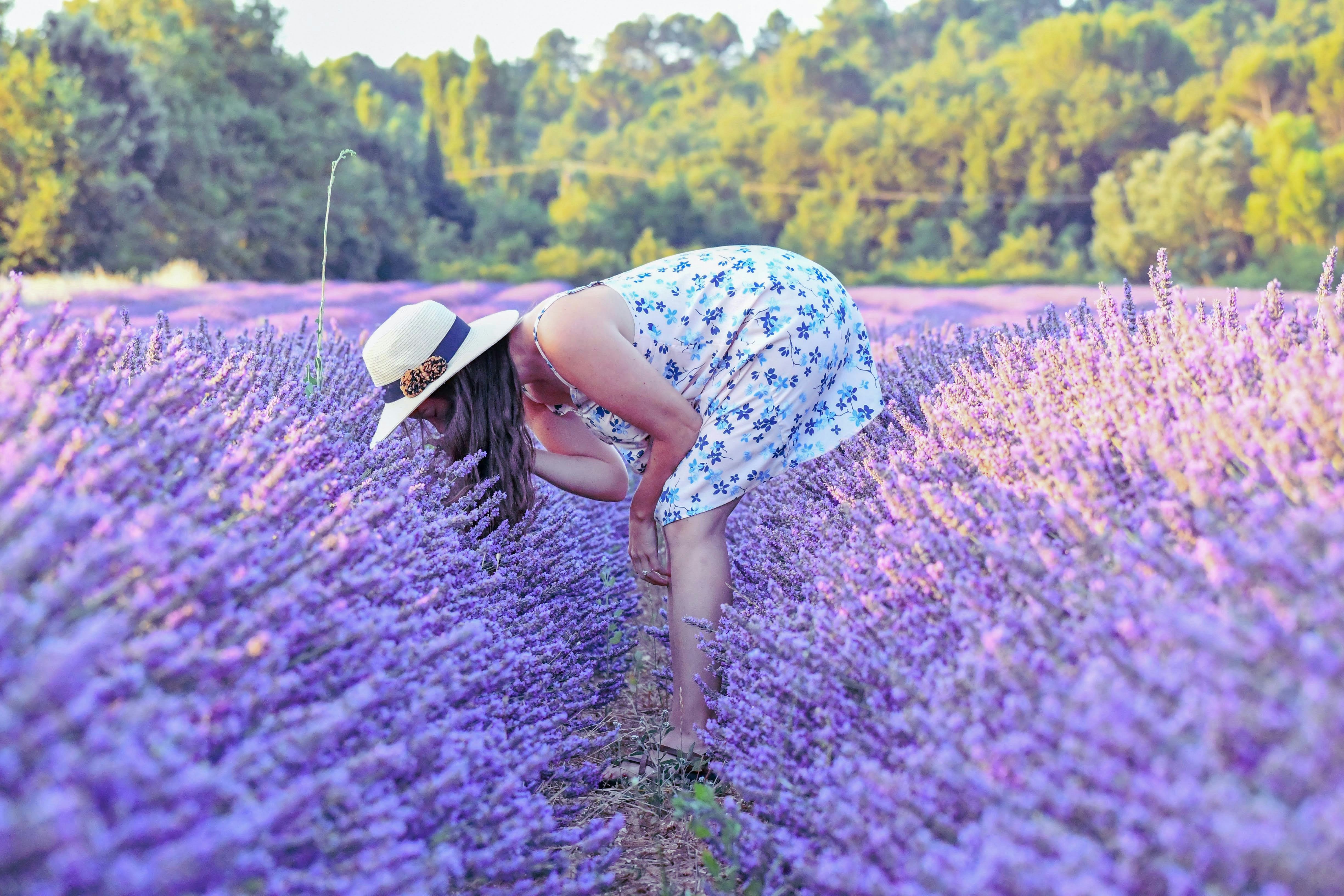 woman in blue and white floral dress standing on purple flower field during daytime
