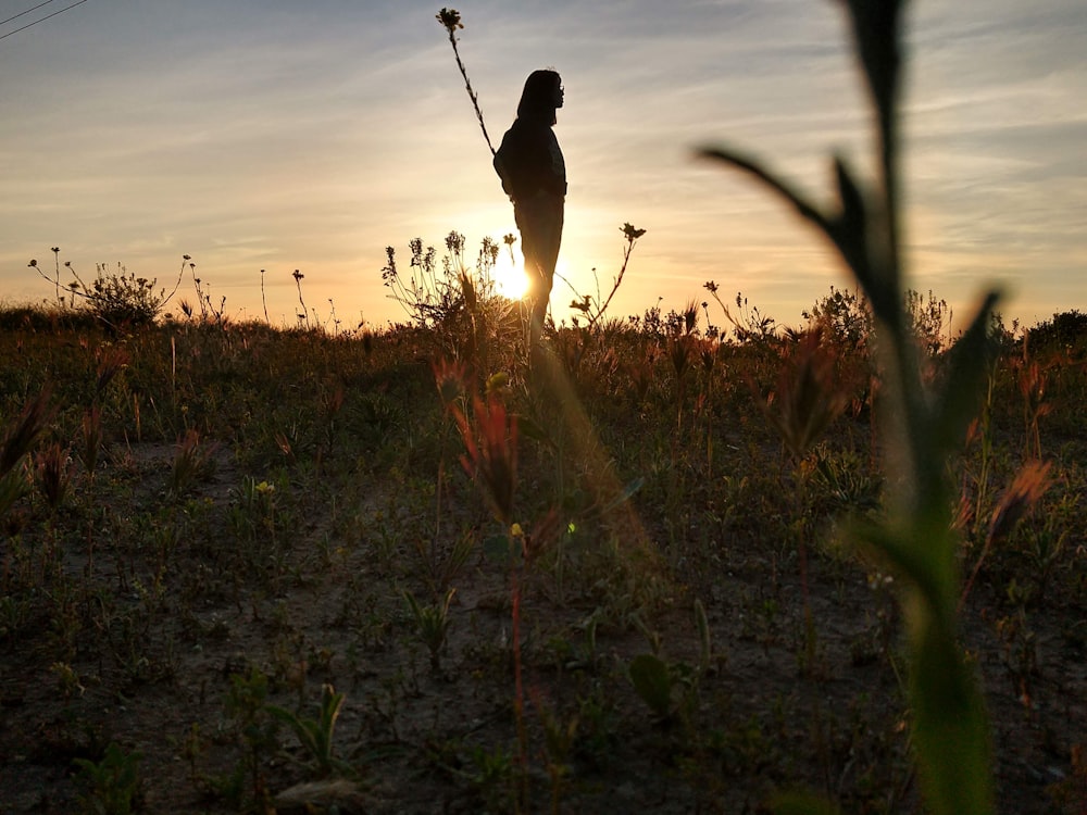 person in black jacket walking on green grass field during sunset