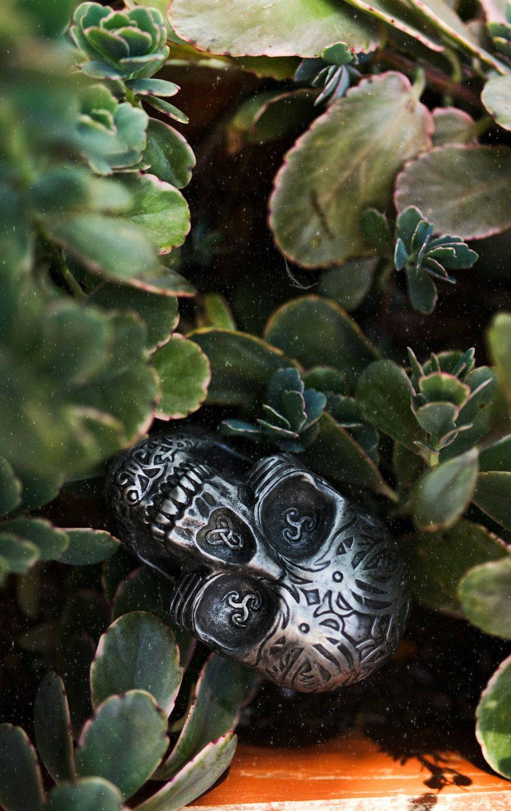 white and black skull ornament