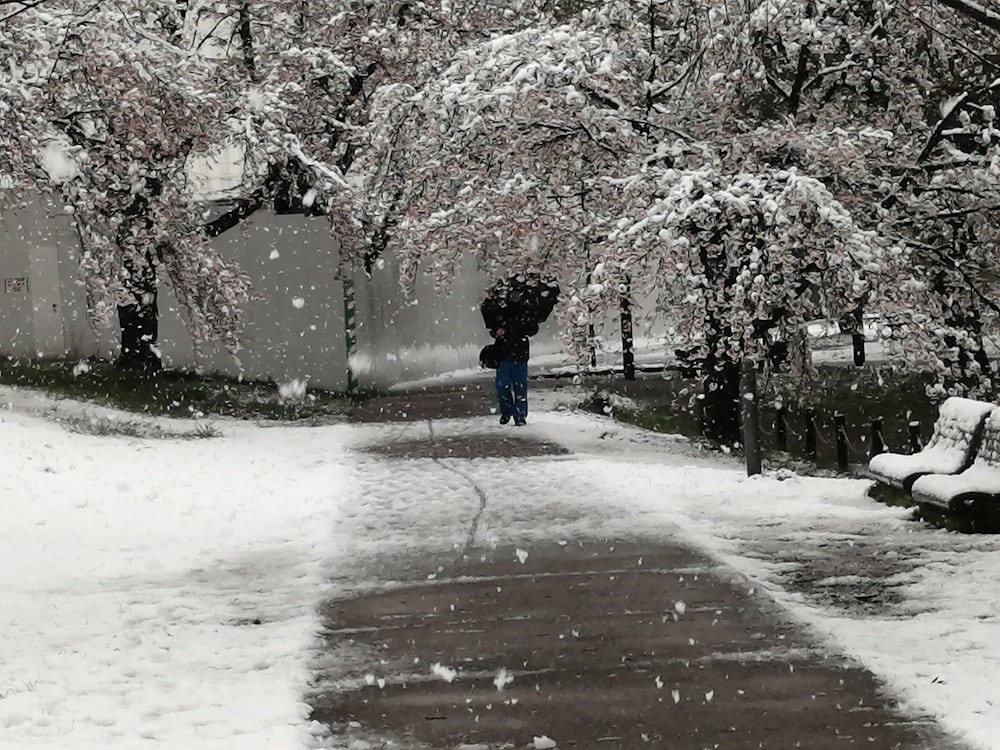 person in black jacket and blue pants walking on snow covered pathway