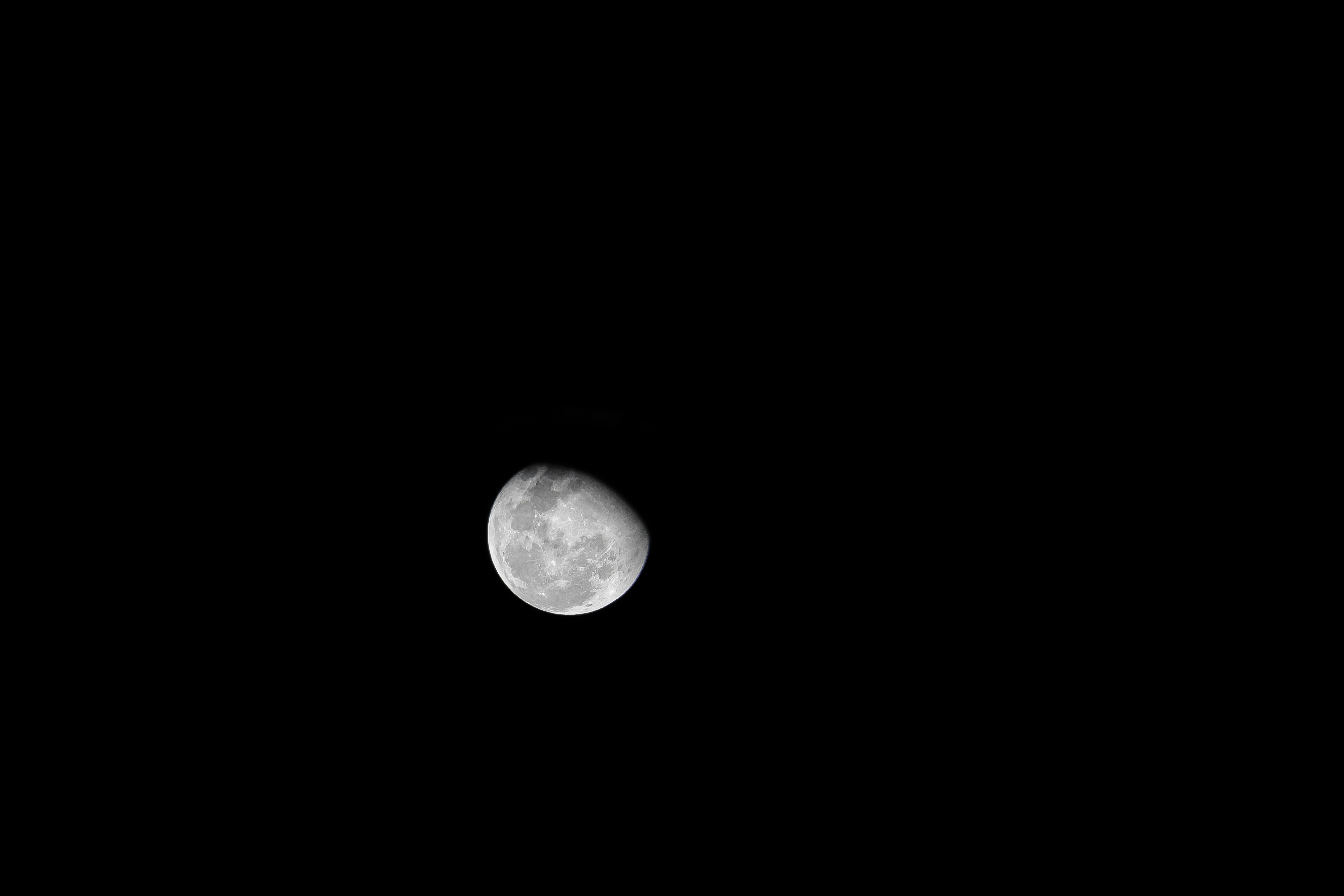 Photo by sara_the_freek