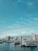 city skyline under blue sky during daytime