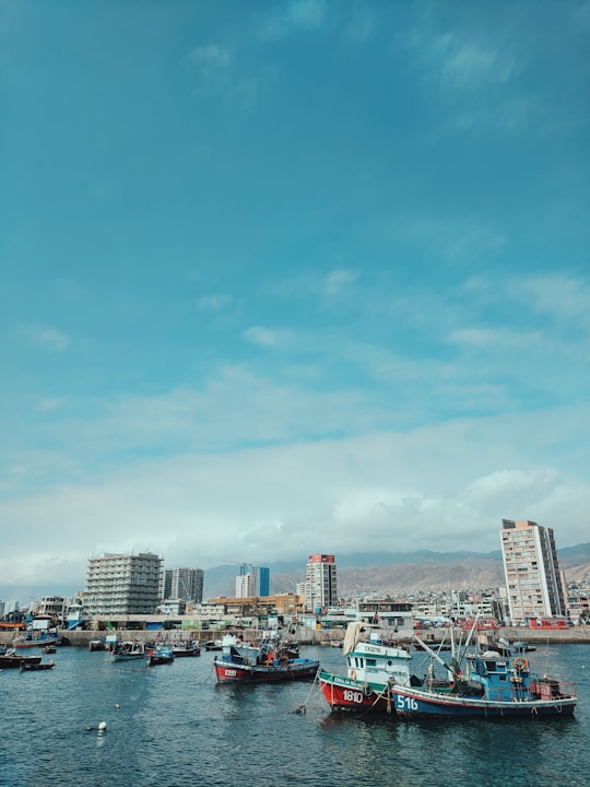 city skyline under blue sky during daytime in Antofagasta Chile