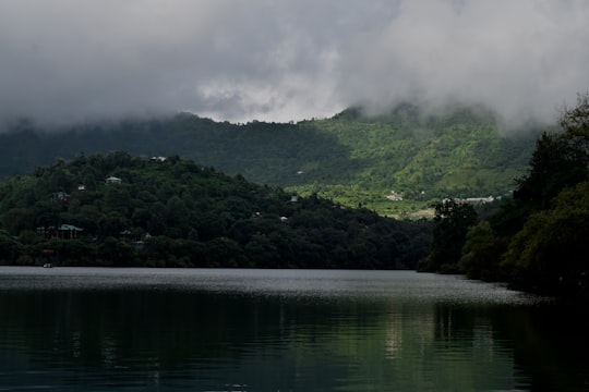 green trees beside body of water under white clouds during daytime in Uttarakhand India