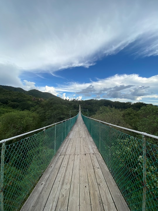 brown wooden bridge over green grass field under blue sky and white clouds during daytime in Tamazula de Gordiano Mexico