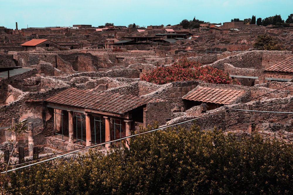 brown and gray concrete houses near green trees under blue sky during daytime