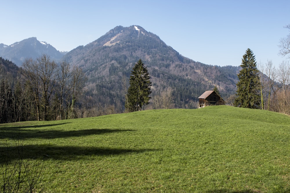 brown wooden house on green grass field near green trees and mountain under blue sky during