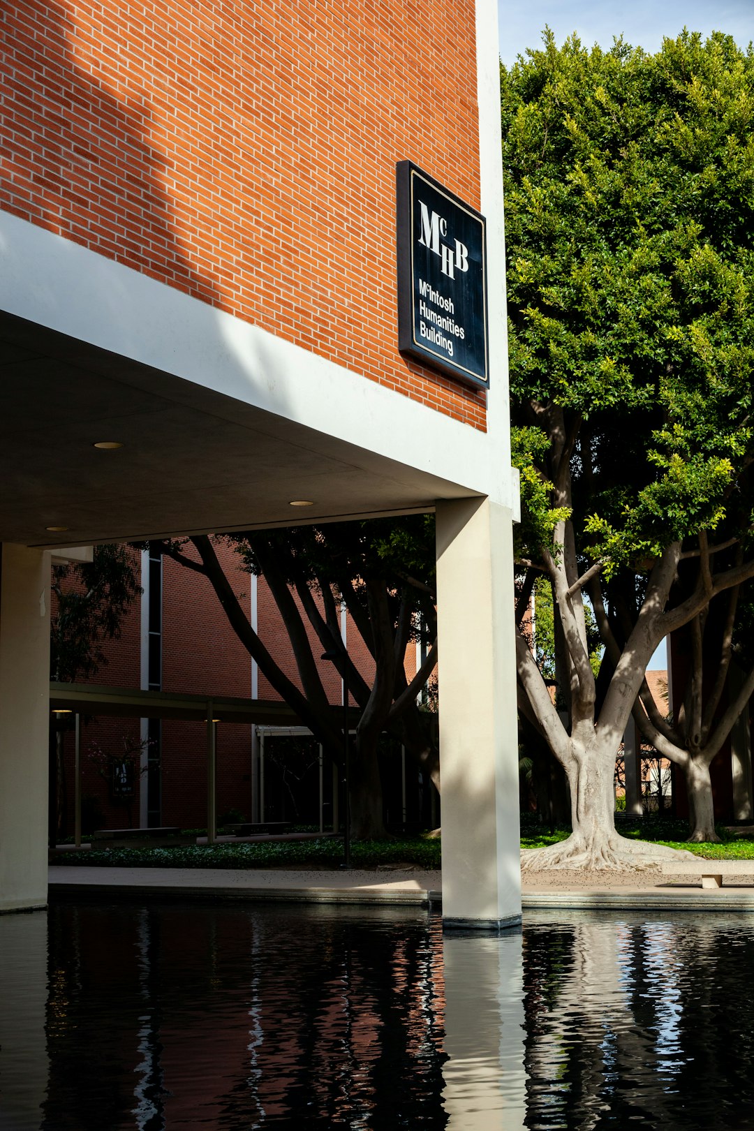 brown and white concrete building near green tree during daytime