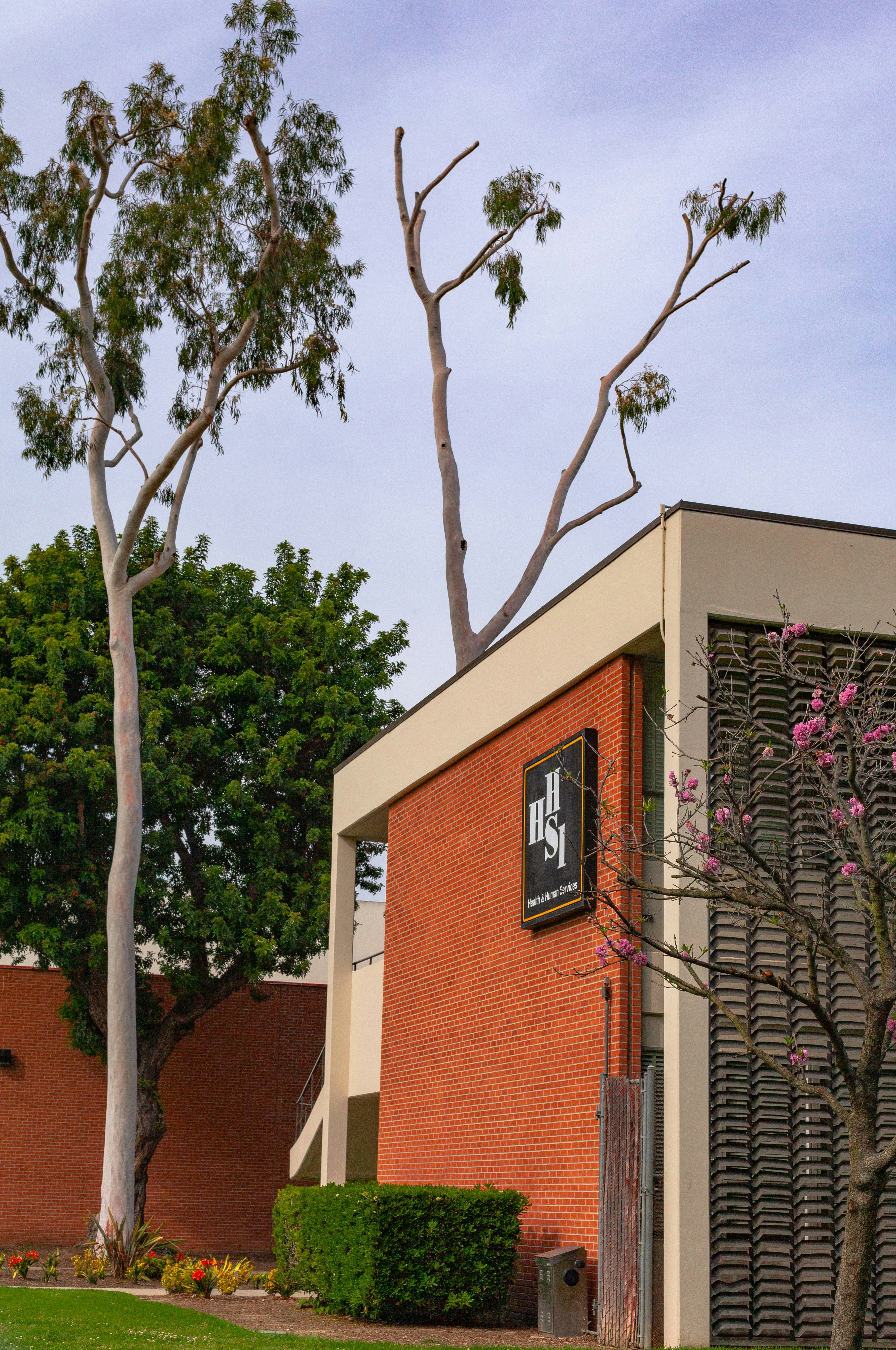 Photo by capturedbyjavi