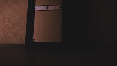 A dimly lit interior scene featuring a decorative wall with patterned wallpaper and a mirror. The mirror has a dark wooden frame with reflective properties, partially showing the wall pattern. Two floral motifs are visible above the mirror's reflective surface.