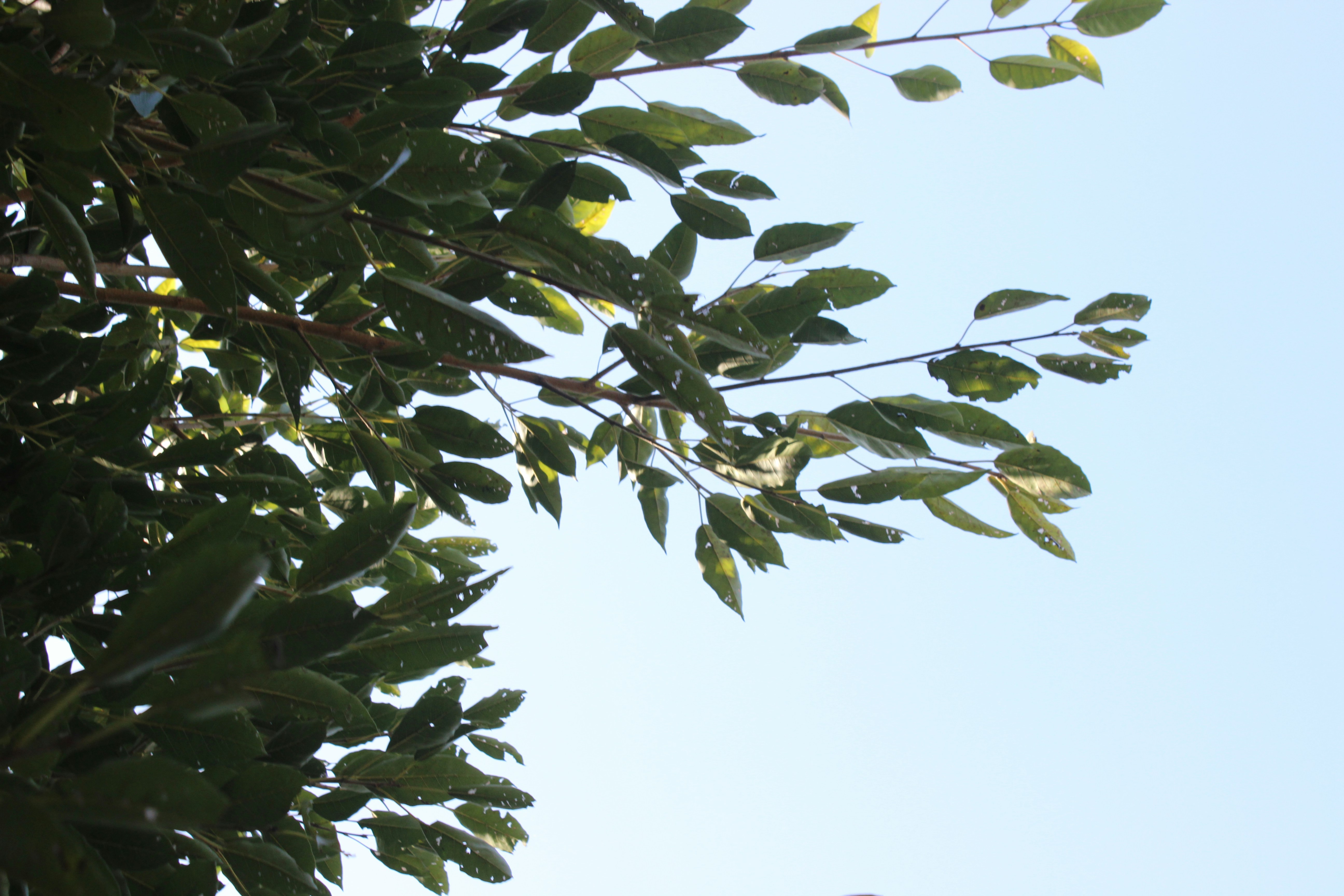 Photo by photographer_of_lfe