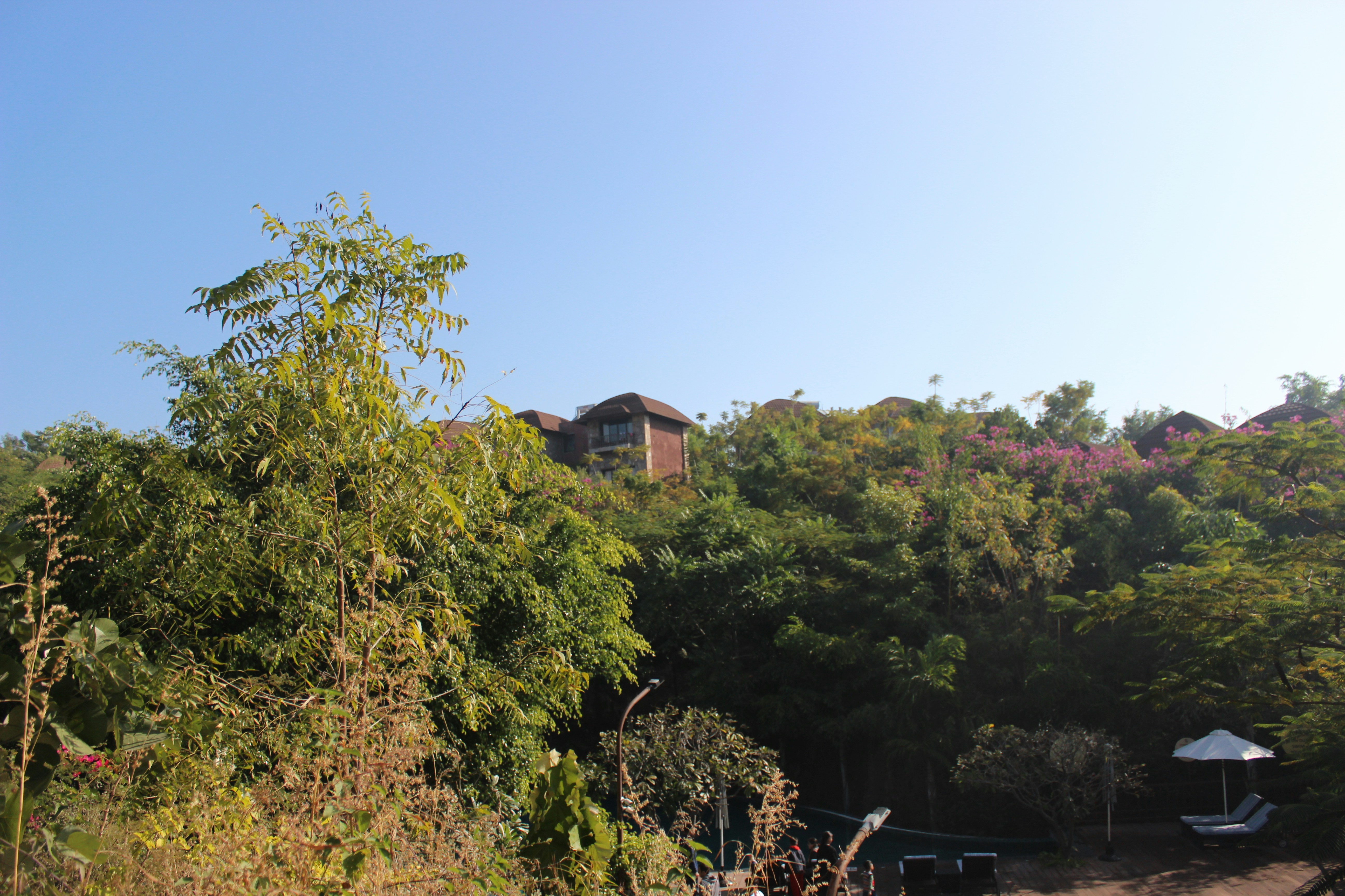 Photo by photographer_of_lfe