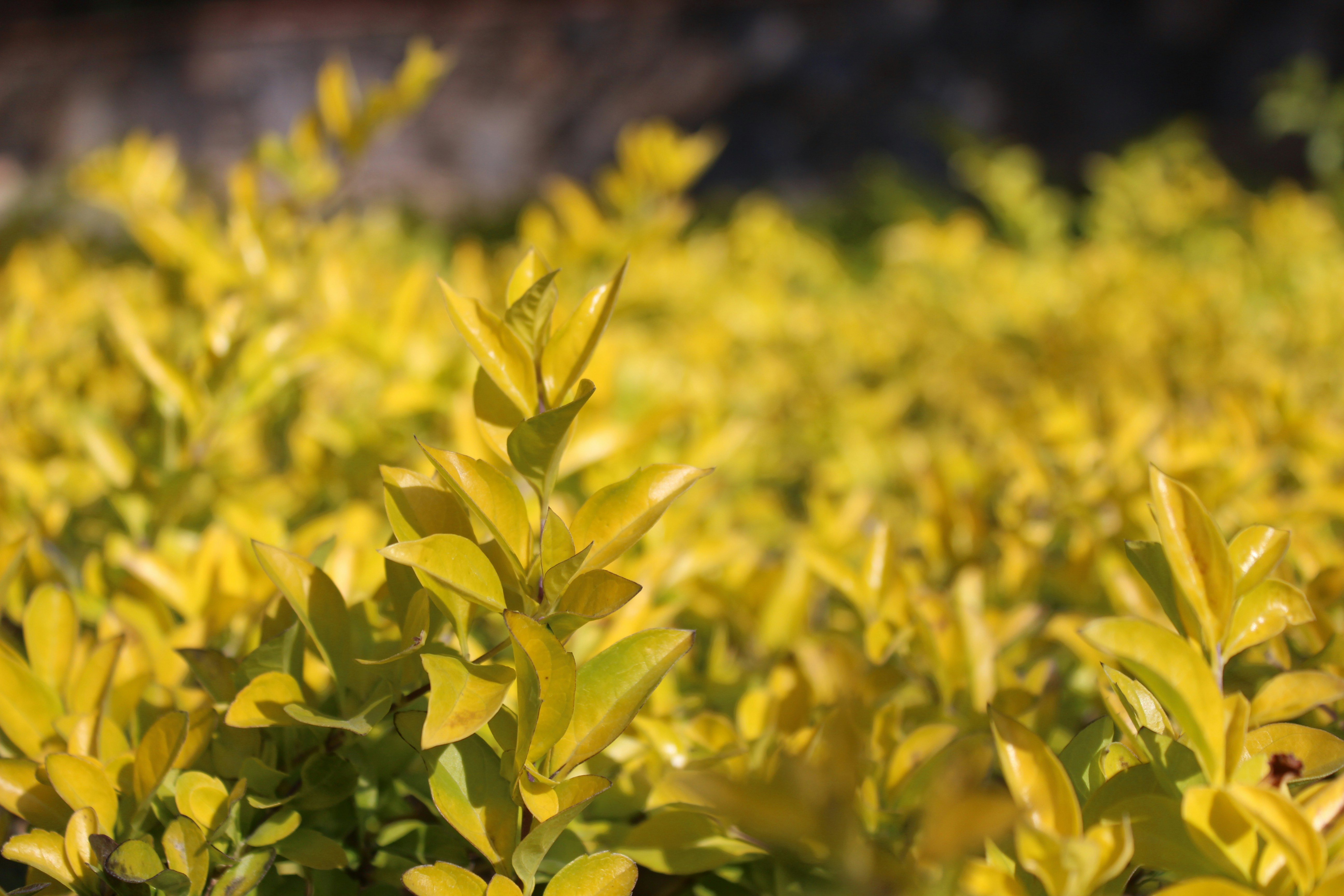 Photo by photographer_of_lfe