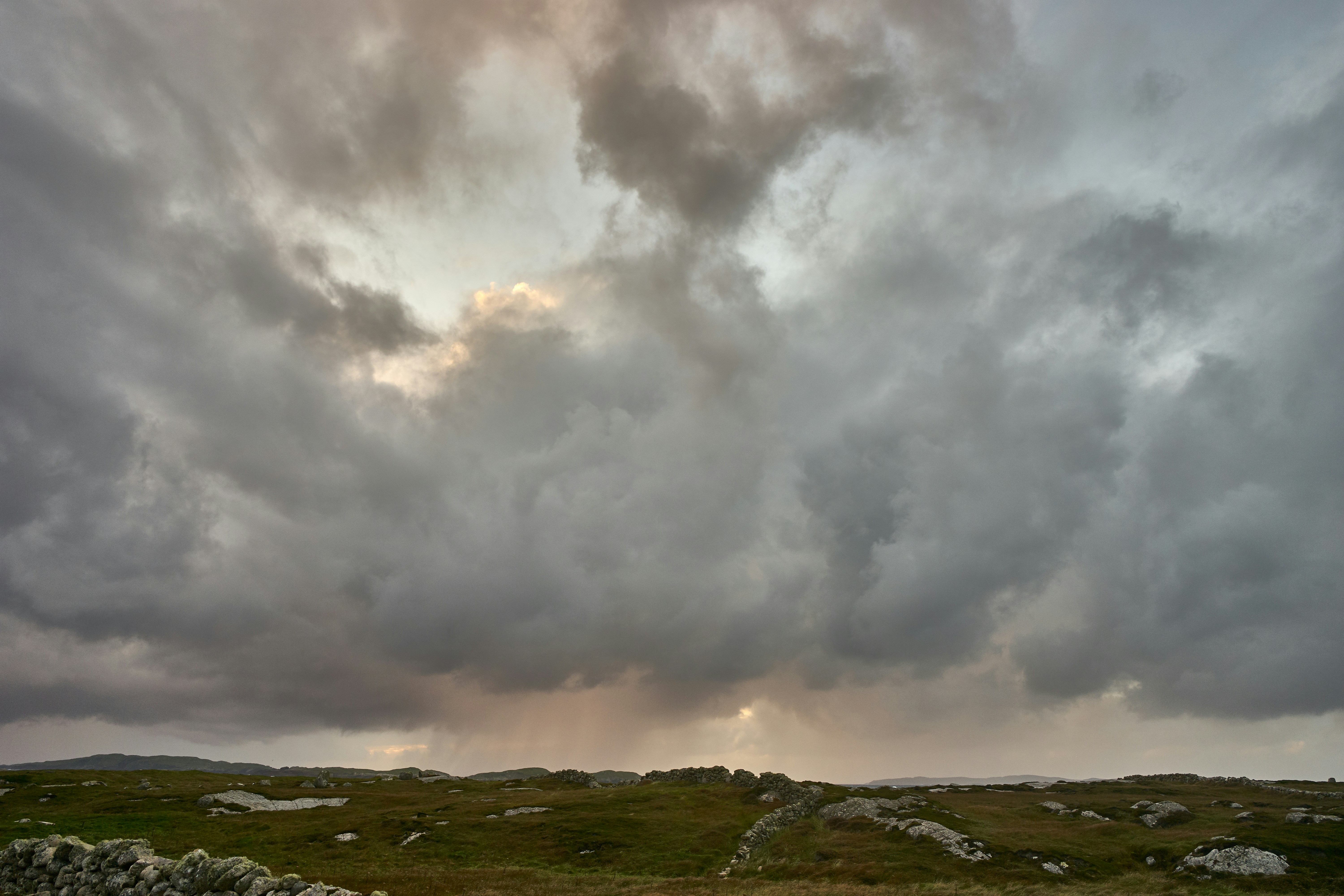 Photo by wolfgang_hasselmann