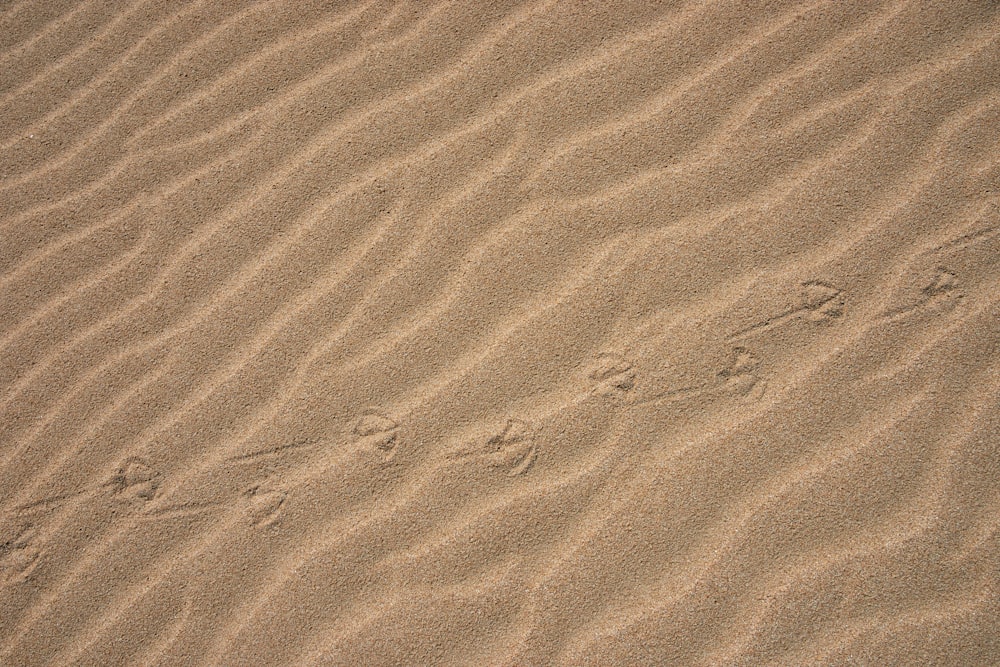 brown sand with shadow of person