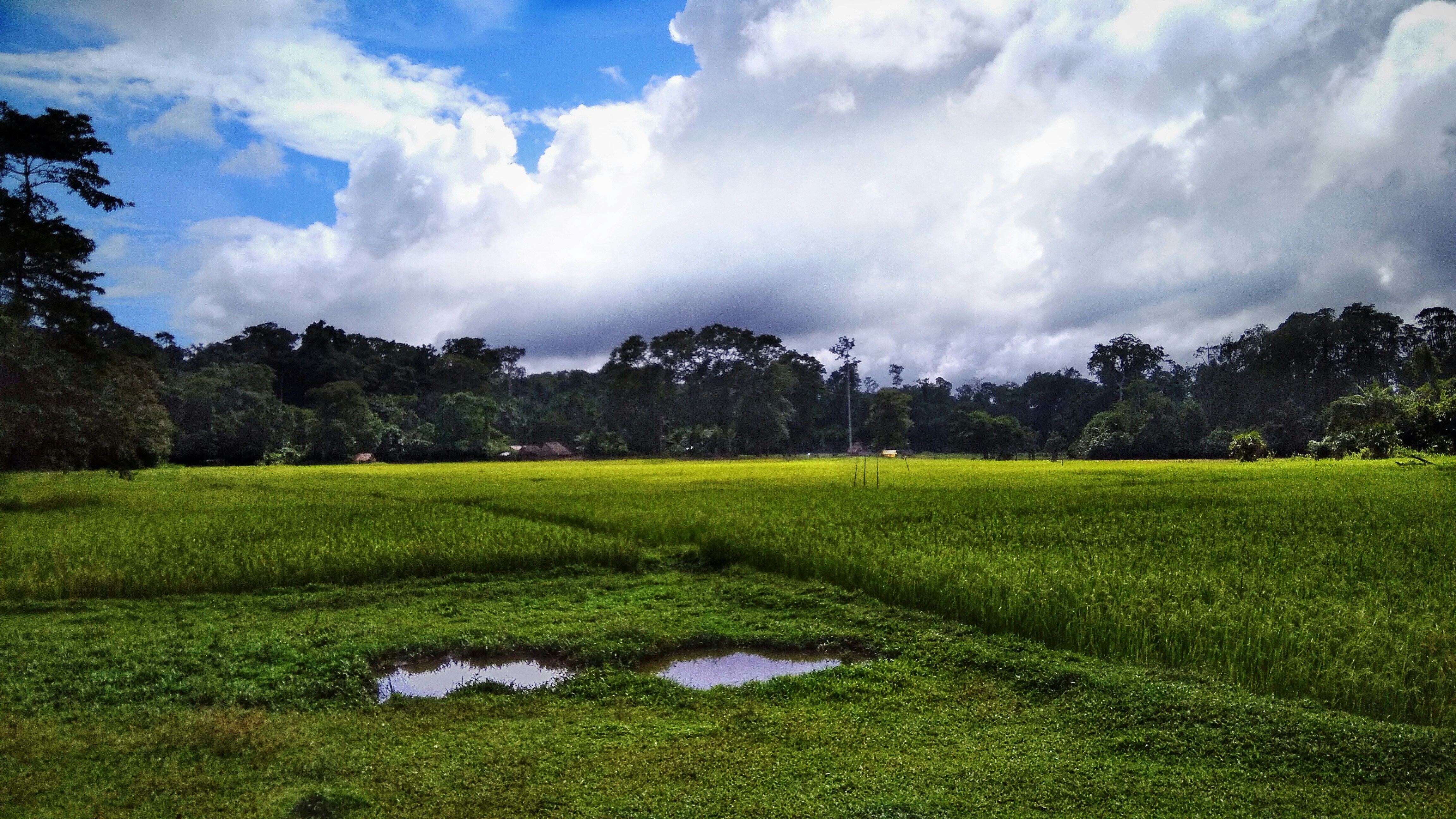 Photo by naturephotograpy
