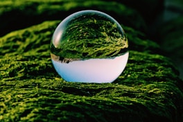 clear glass ball on green grass