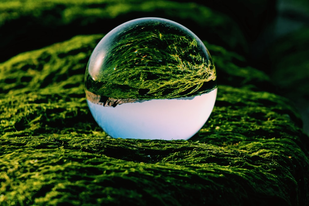 sfera di vetro trasparente su erba verde