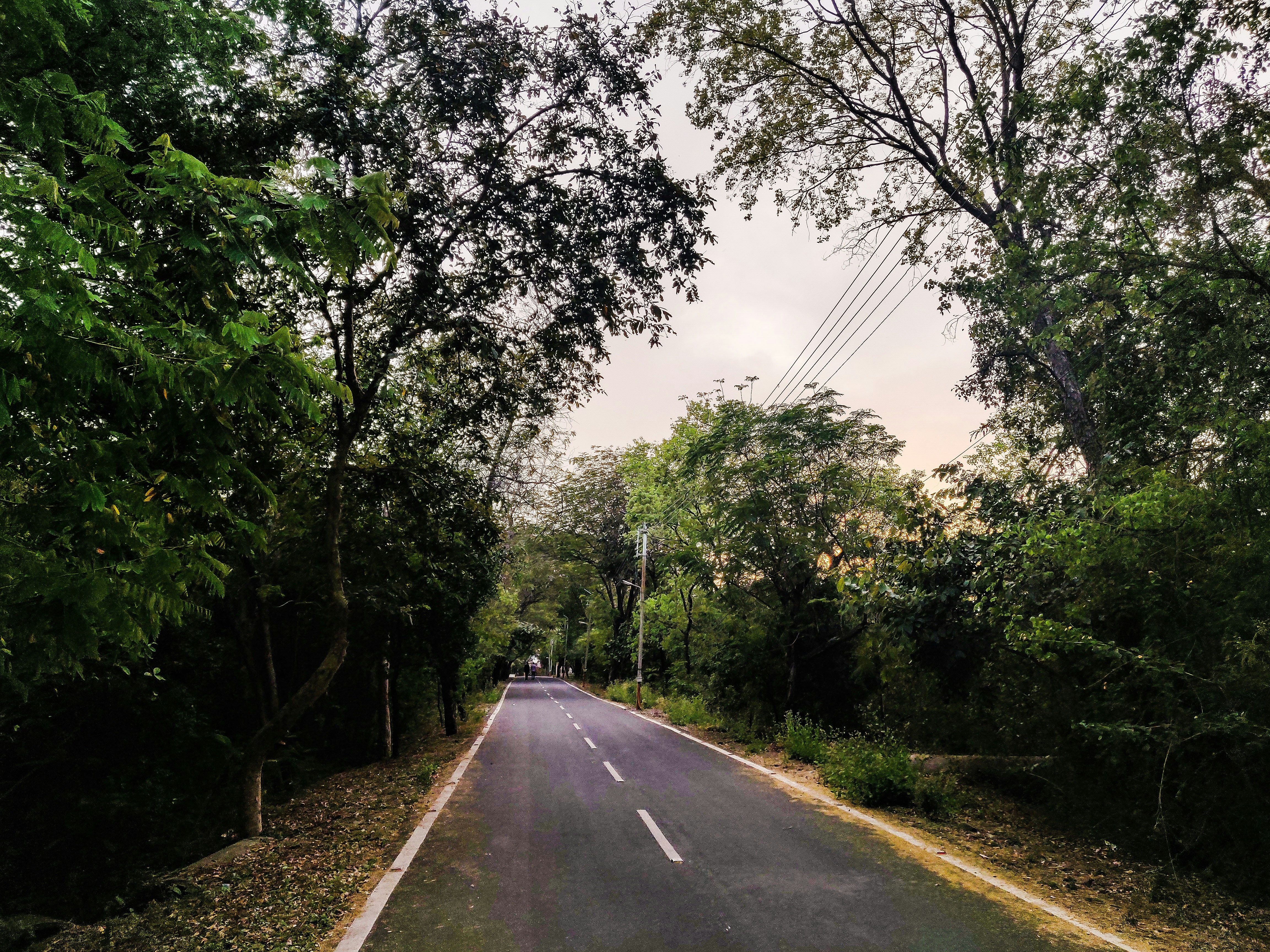 Photo by akshat_agrawal11