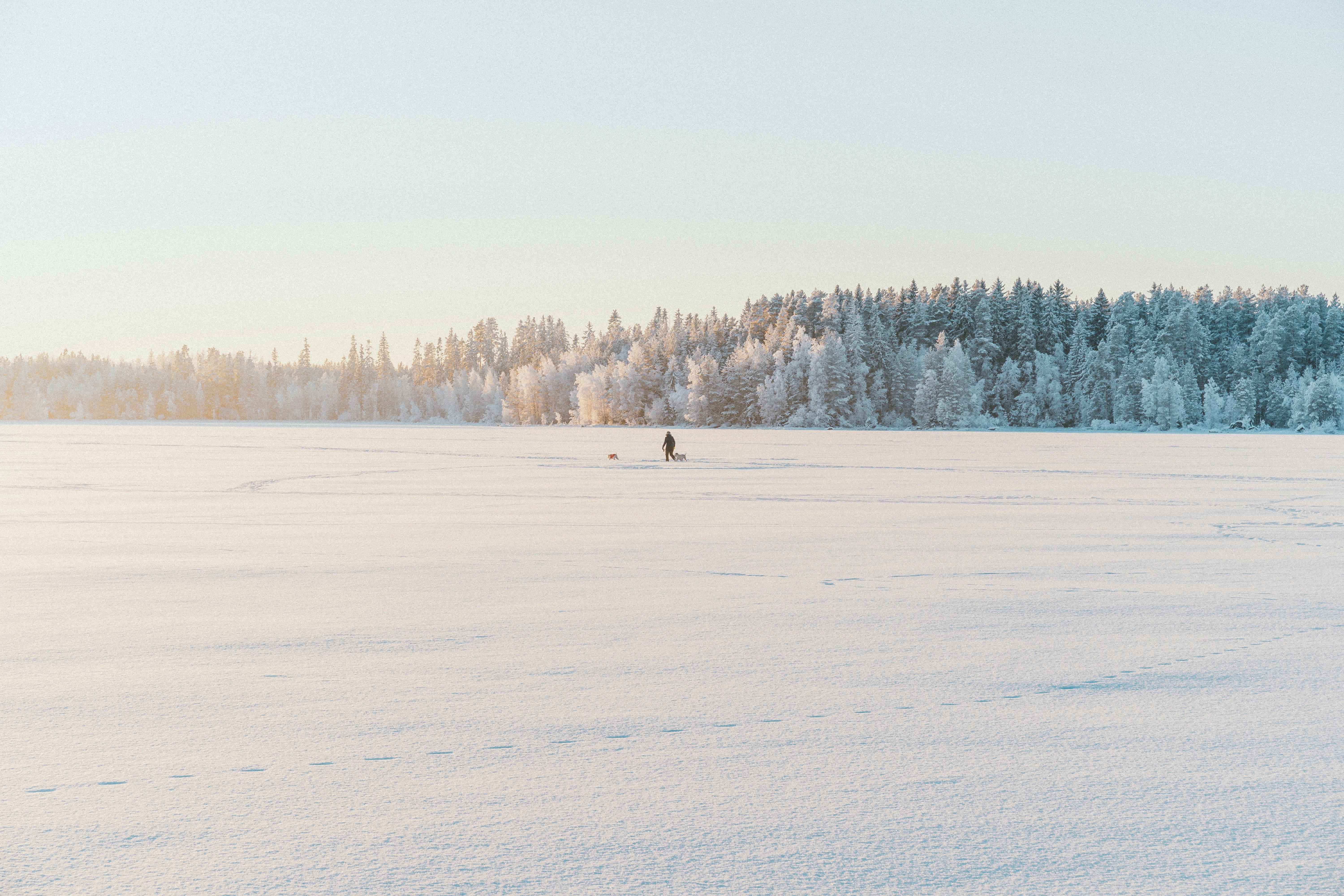 person in black jacket walking on snow covered field during daytime