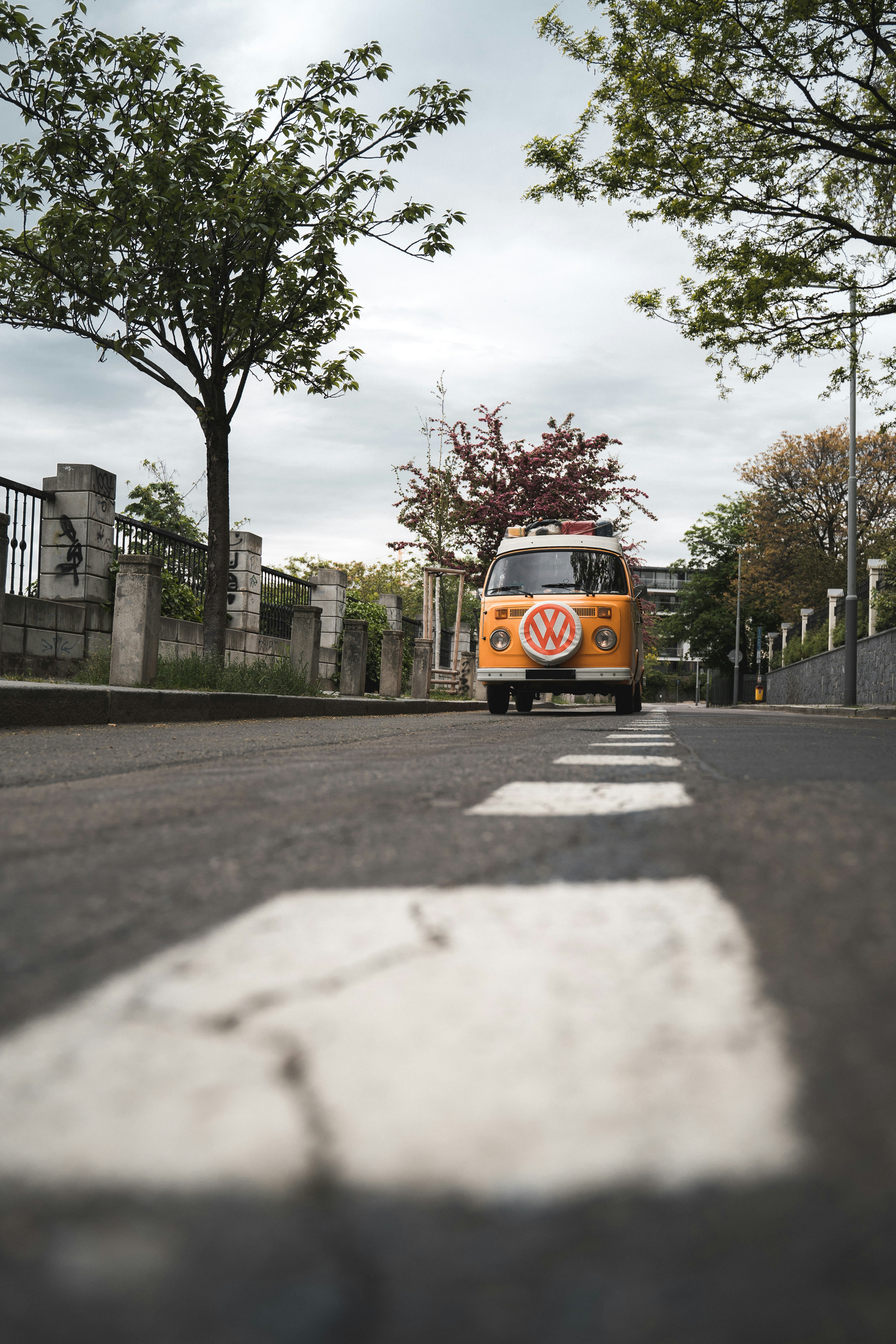 yellow school bus on road during daytime