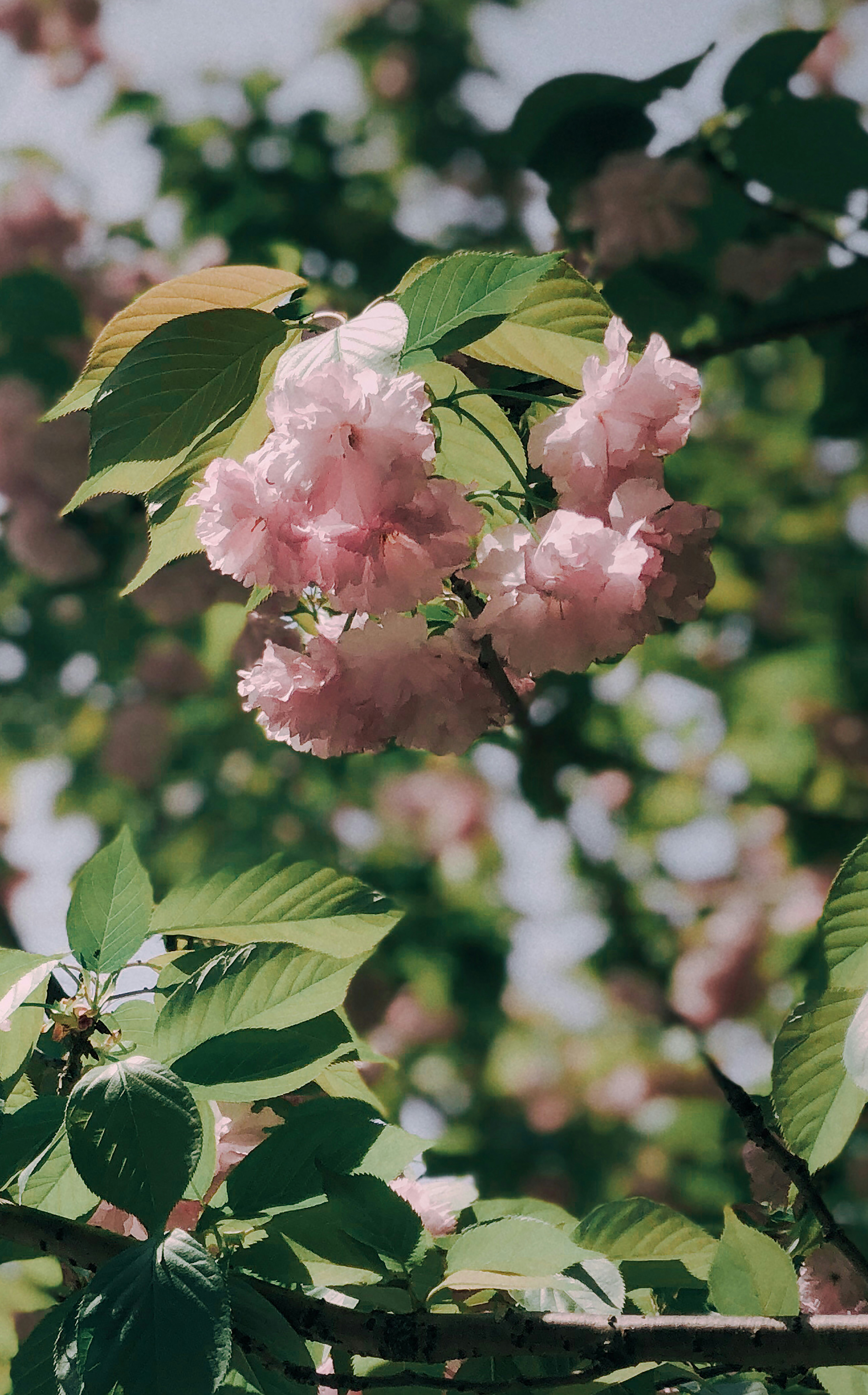 Photo by spencestafford