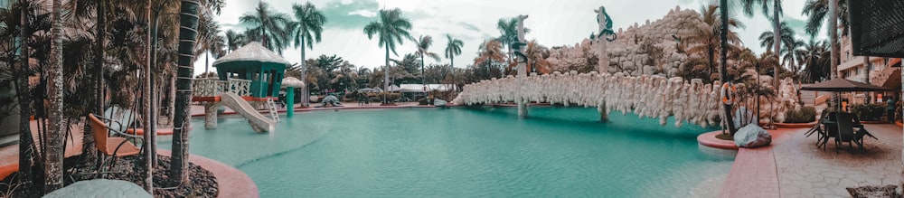 green palm trees near body of water during daytime