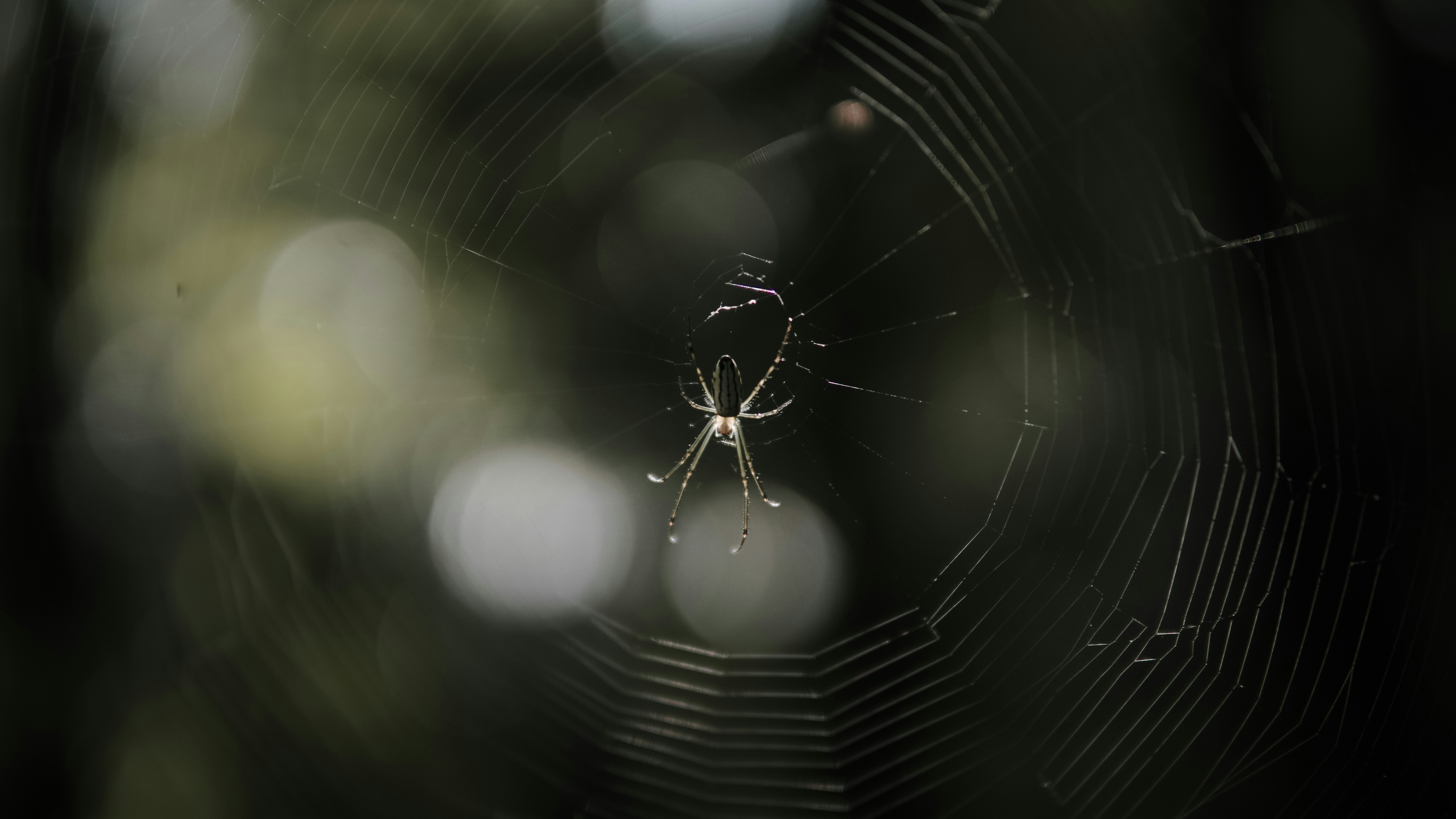 Photo by fahmisudira