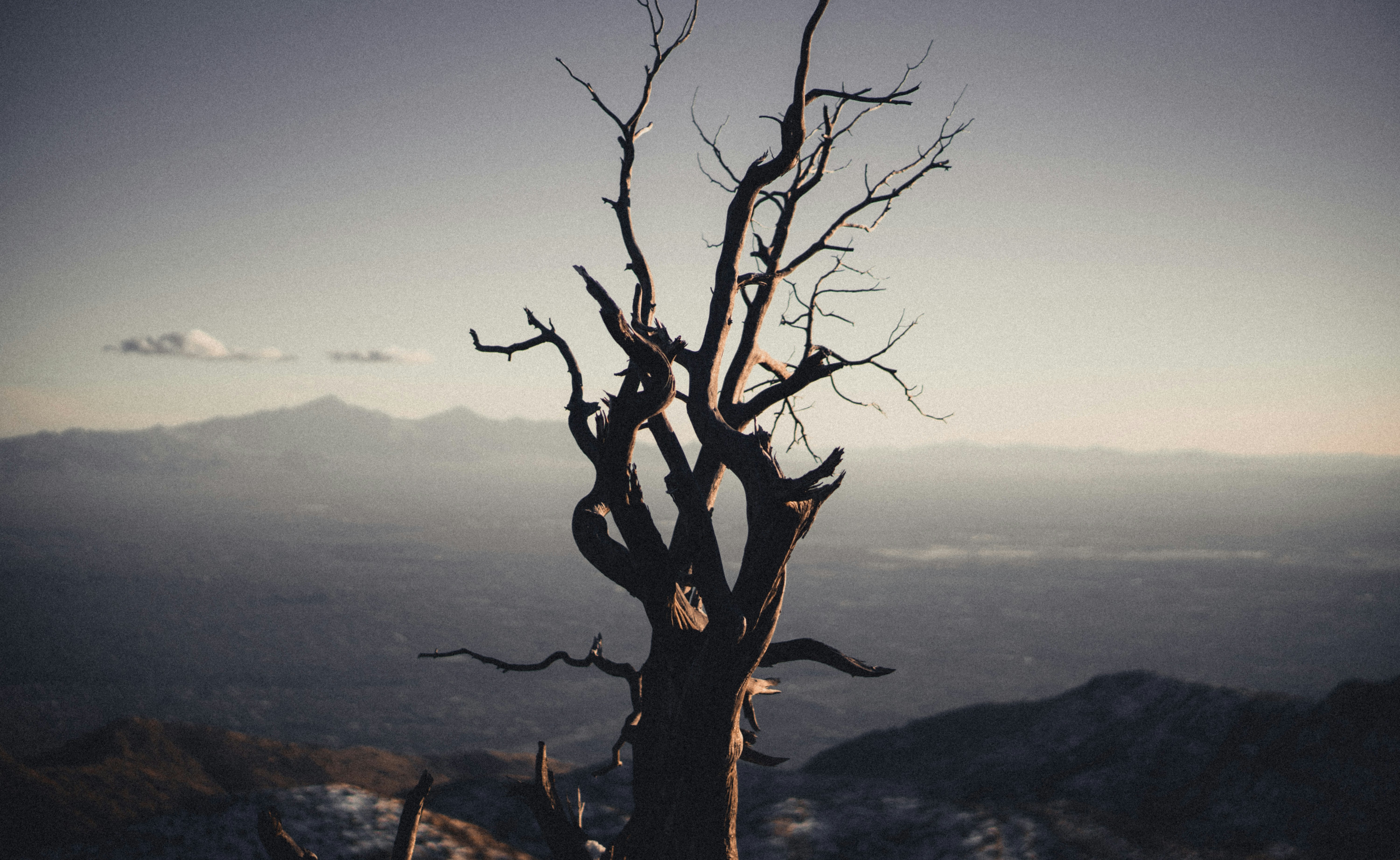 Photo by andrewschultz