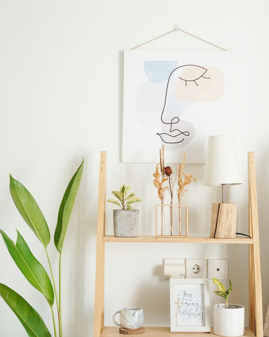 green plant on white wooden shelf