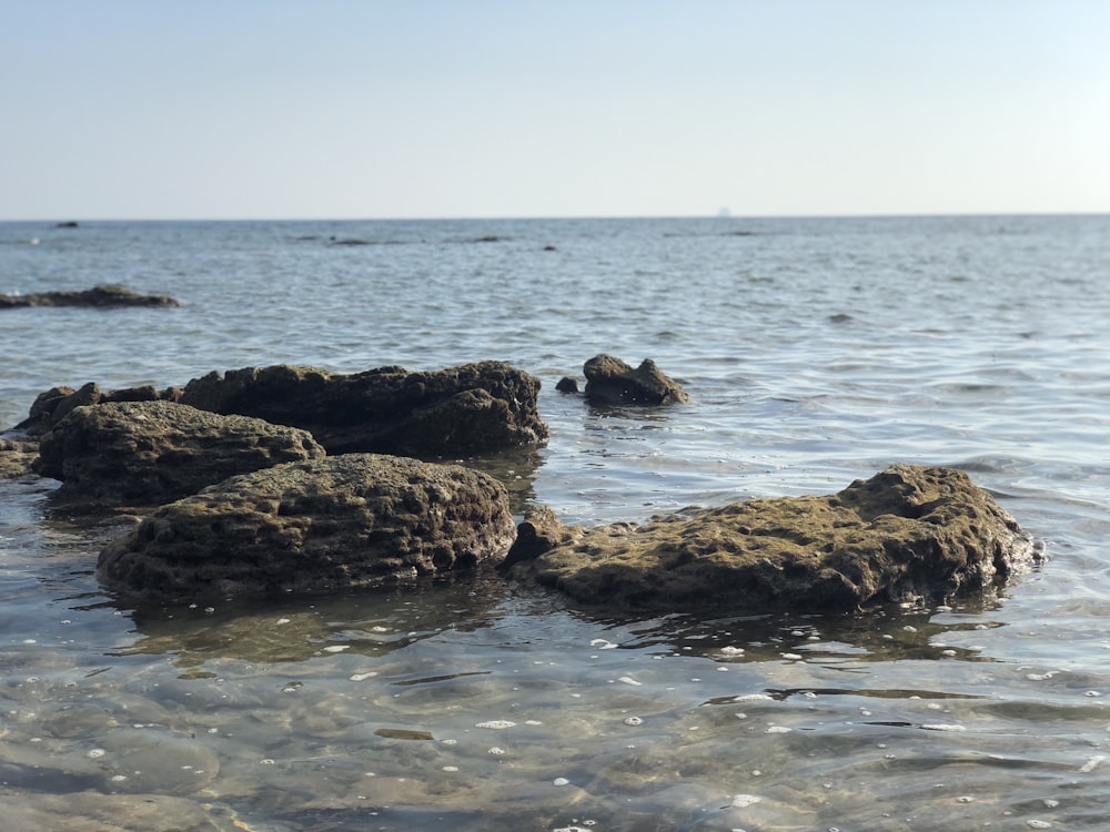 brown rocks on sea shore during daytime