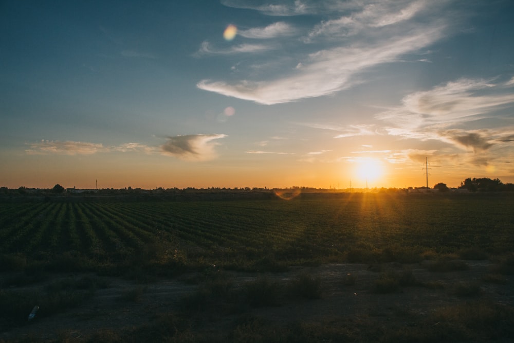 green grass field during sunset