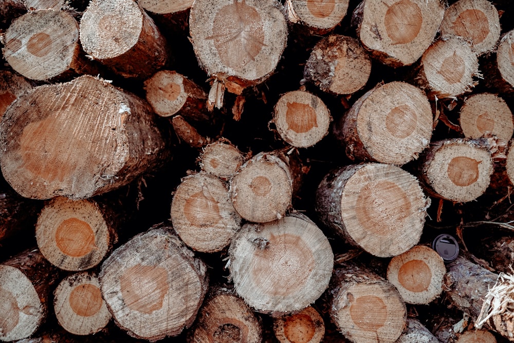 brown and black wood logs