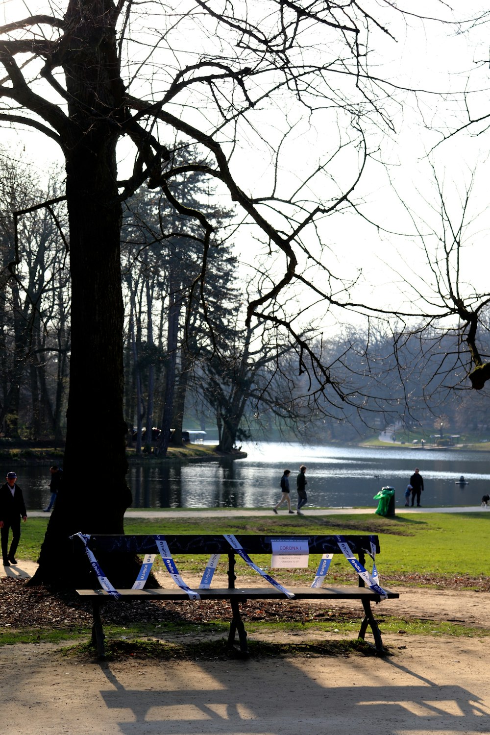 people standing near lake surrounded by trees during daytime