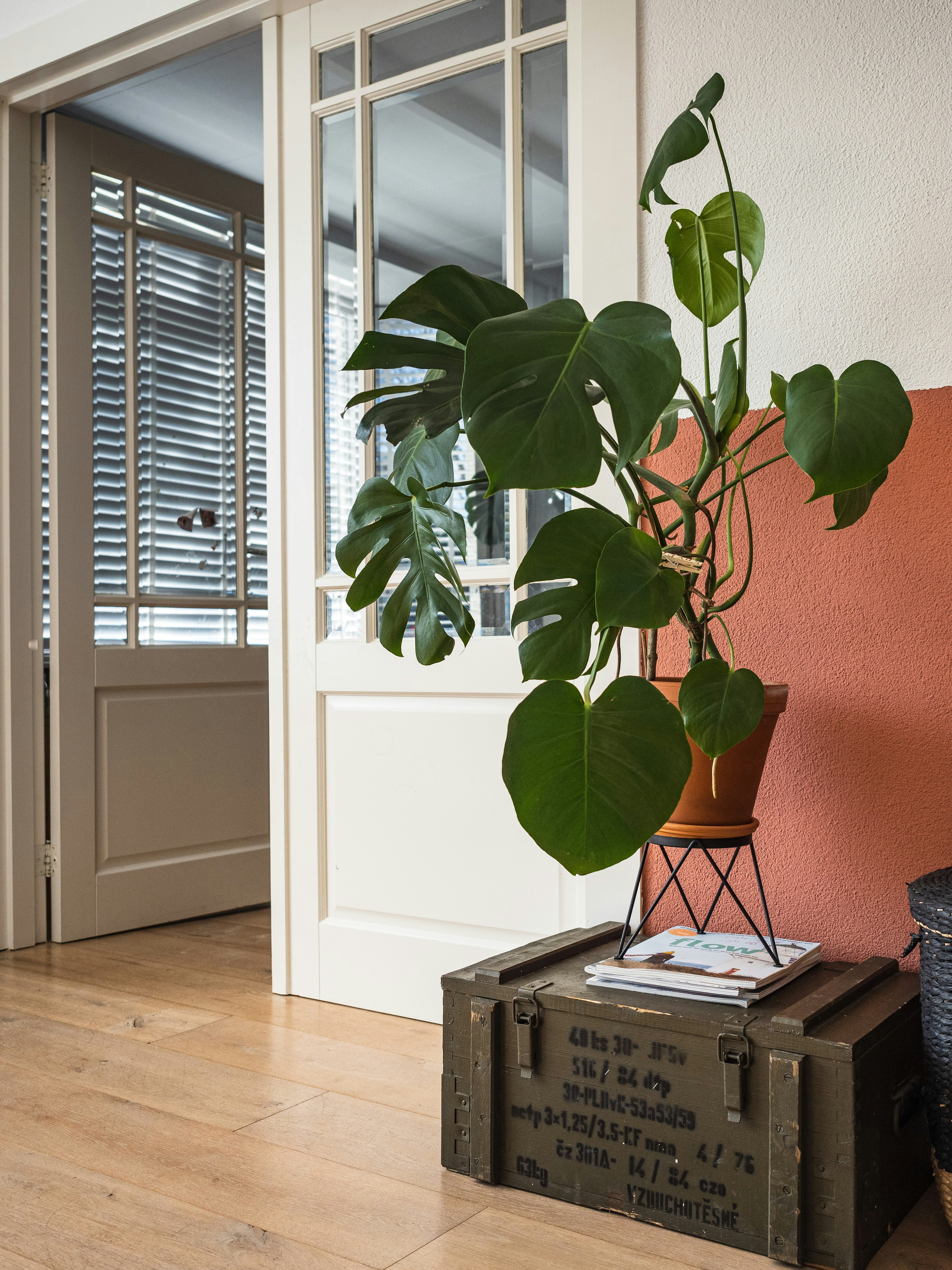 Самые трендовые межкомнатные двери 2025 года