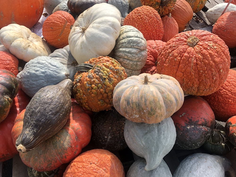 red and green round fruits